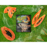 Malaysian Tobacco 50гр PawPaw - Сладкая папайя
