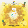 (MT) Spectrum 100гр (Classic) Pineapple Boom - Ананас