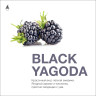 (MT) MattPear 250гр Black Yagoda - Ежевика
