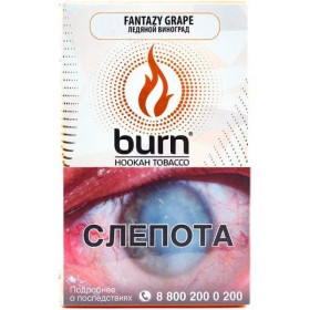 Burn 100гр Fantazy Grape - морозный виноград с легкими ванильными оттенками