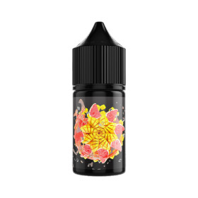 Жидкость SALT SOAK L 30мл 20мг - Mango Aperol (Апероль с манго)