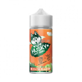 Жидкость SALT Husky 30мл 20мг Mint Series STRONG - WATER PLACE (арбузный фраппе)