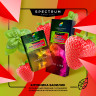 (MT) Spectrum 100гр (Hard) Basil Strawberry - Базилик клубника