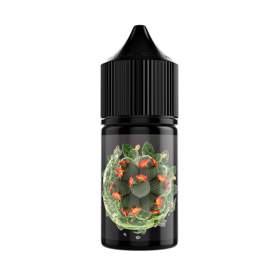 Жидкость SALT SOAK L 30мл 20мг - Cactus Lemonade (Лимонад с кактусом)